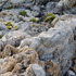 Image 03